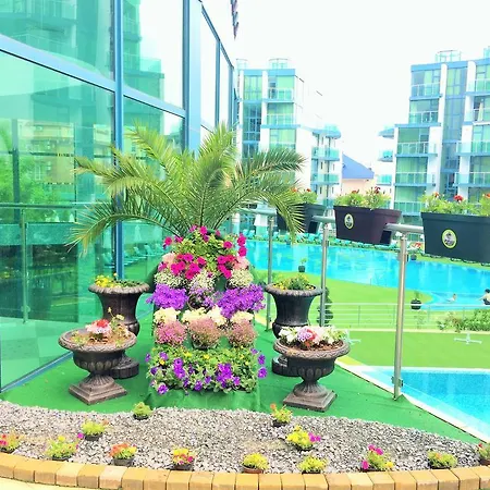 普里莫尔斯科太阳酒店 4*